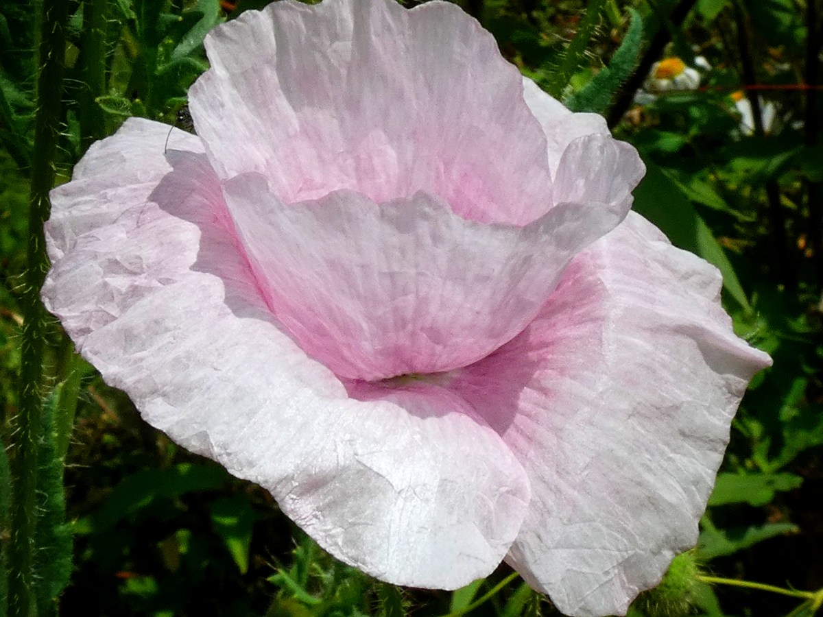 Beckenbodentraining – ein Leben&nbsp;lang?